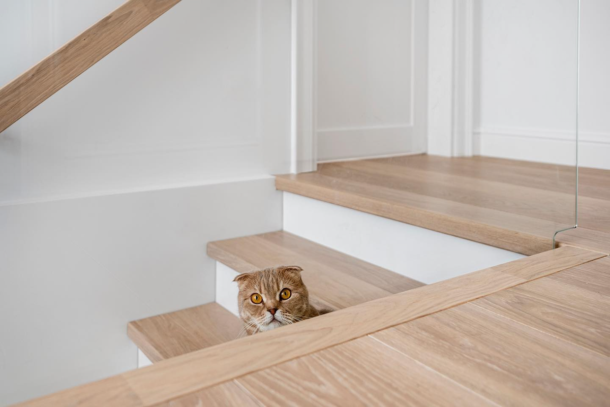 light oak flooring